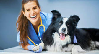 From Animal Lover to Pro: The Ultimate Starter Guide for Vet Assistants